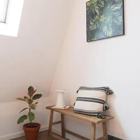 Apartman With A Roof Terrace *